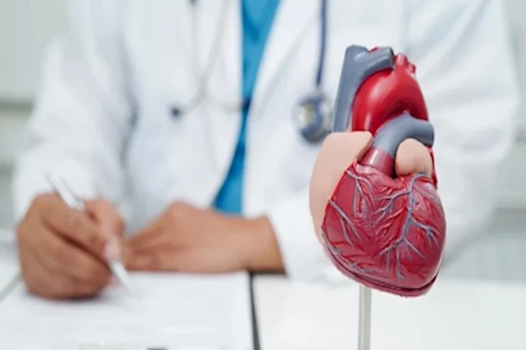 ما تأثير تناول الكشري على صحة القلب والكوليسترول؟.. مفاجأة