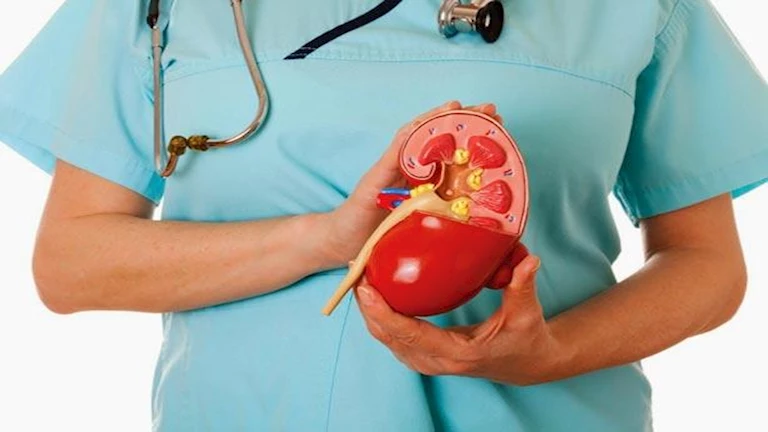 يفعلها كثيرون.. جمال شعبان يحذر من عادة تدمر الكلي وتسبب الجلطات