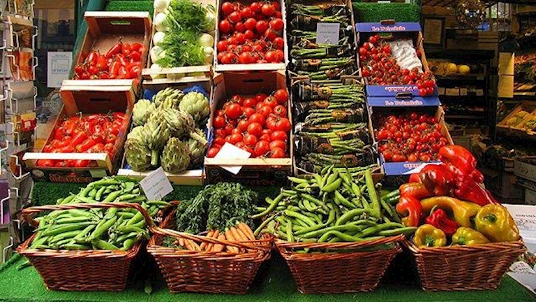 بعد وصول الكيلو لـ140 جنيها.. نقيب الفلاحين يكشف عن موعد تراجع أسعار العنب