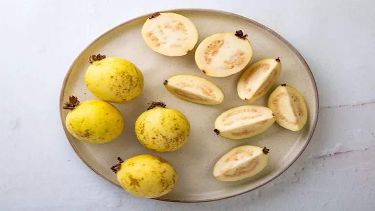 هذا ما يحدث لجسمك عند تناول ثمرة من الجوافة يوميا