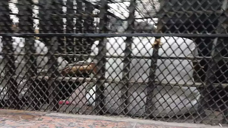 3 طعنات على خلاف قديم..المؤبد لفرد أمن في جريمة”بولاق”