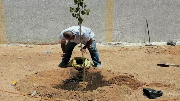 مستشار الرئيس للشؤون الزراعية: التغيرات المناخية لم تكن مفاجئة