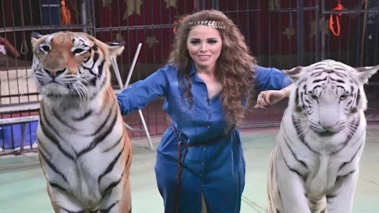 26 يوليو.. النطق بالحكم على أنوسة كوتة في واقعة نمر سيرك طنطا