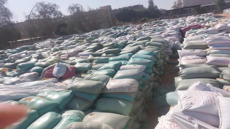 أسيوط تستقبل 89 ألف طن من القمح المحلي -صور