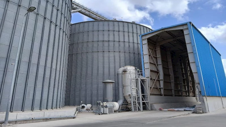 توريد 28 ألف طن قمح محلي لصوامع التموين بالإسكندرية