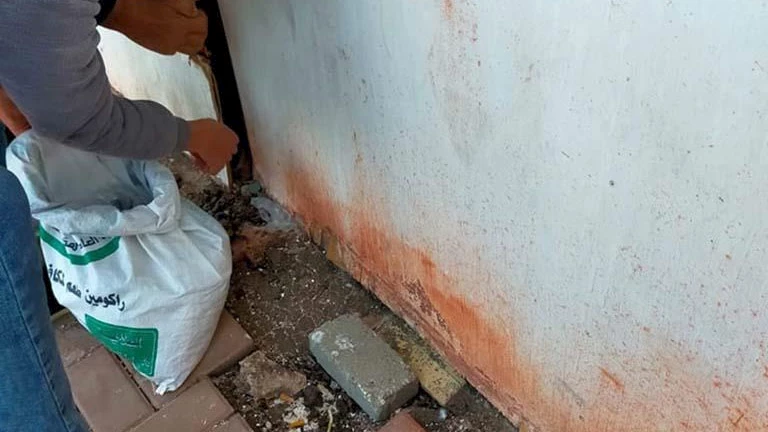 تبدأ الخميس.. حملة لمكافحة القوارض بعد حصاد المحاصيل الشتوية في البحيرة