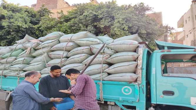 محافظ المنيا: توريد 266 ألف طن قمح حتى اليوم