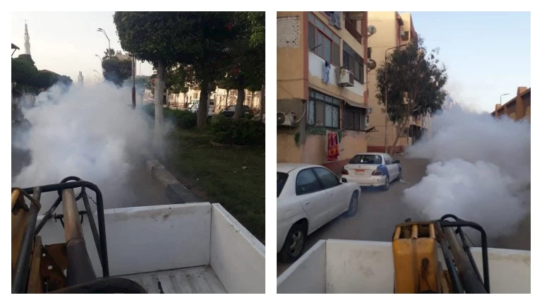 بورفؤاد تواصل حربها على الناموس بحملات مكثفة -صور