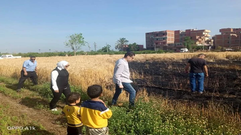 “النار أكلت كل حاجة”.. حريق مجهول يلتهم محصول قمح أحد الفلاحين بالمنوفية -صور