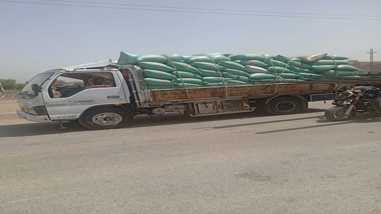 300 ألف طن قمح تدخل صوامع المنيا منذ بدء التوريد