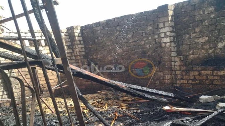 حريق يلتهم 3 أحواش بسوهاج ويتسبب في نفوق ماشية وطيور (صور)