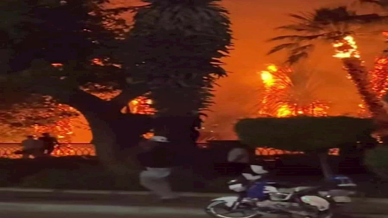 في مشهد مروع.. حريق يلتهم النخيل بكورنيش مصر القديمة والحماية المدنية تحاول السيطرة- صور