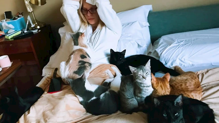 أحدث ظهور لـ شيرين رضا داخل غرفتها بصحبة 7 قطط والجمهور يعلق (صورة)