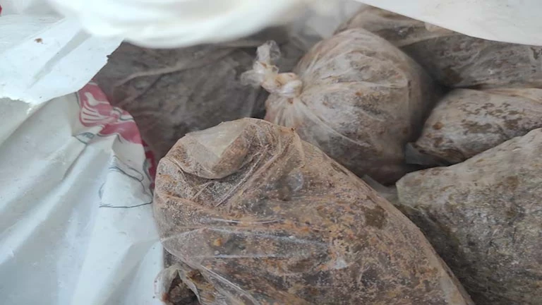 ضبط 3 أطنان أسماك ولحوم مجمدة مجهولة المصدر بالمنوفية- صور