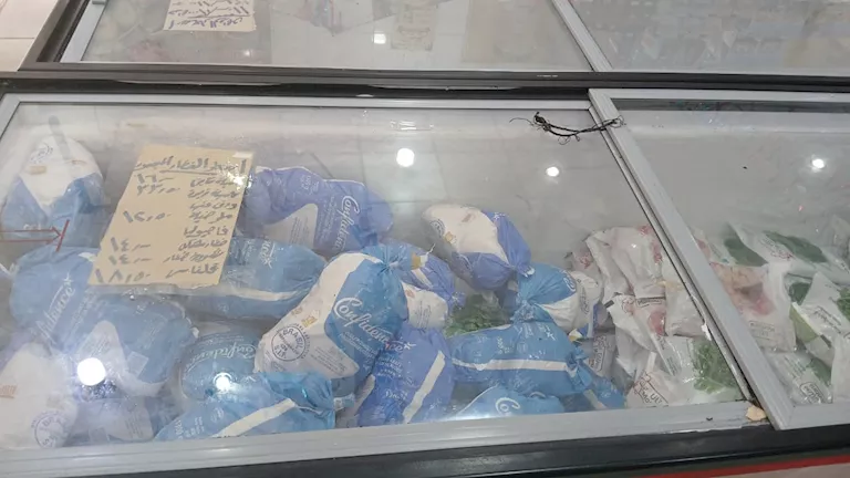 تموين الإسكندرية تعلن خطة استعداداتها لاستقبال عيد الأضحى (صور)