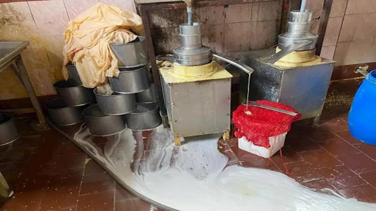 صحة الشرقية تعدم 8 أطنان أغذية فاسدة وتغلق منشآت غير مرخصة بصان الحجر