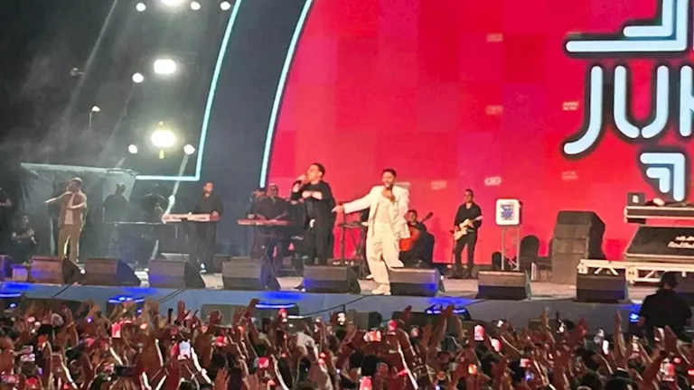 بالصور- تامر حسني يفاجئ جمهور حفله بـ نيللي كريم وكزبرة والبحراوي