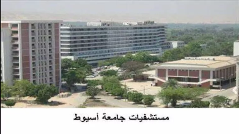 عميد طب أسيوط يكشف حقيقة منشور “شات جي بي تي وحبة الغلال”