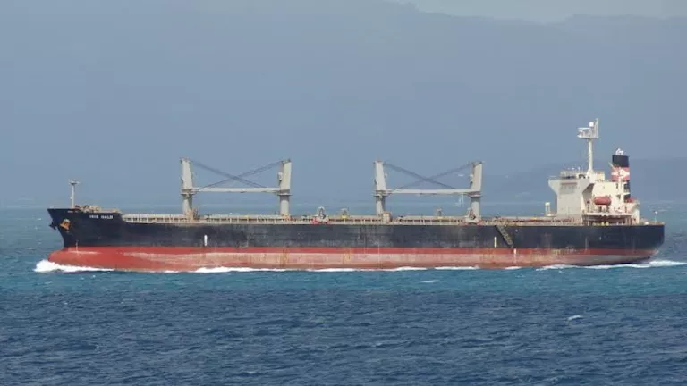 تصدير 55 ألف طن فوسفات إلى الهند عبر ميناء سفاجا