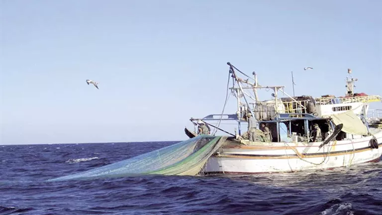 ضبط مراكب صيد جائر بالكهرباء في منيا القمح