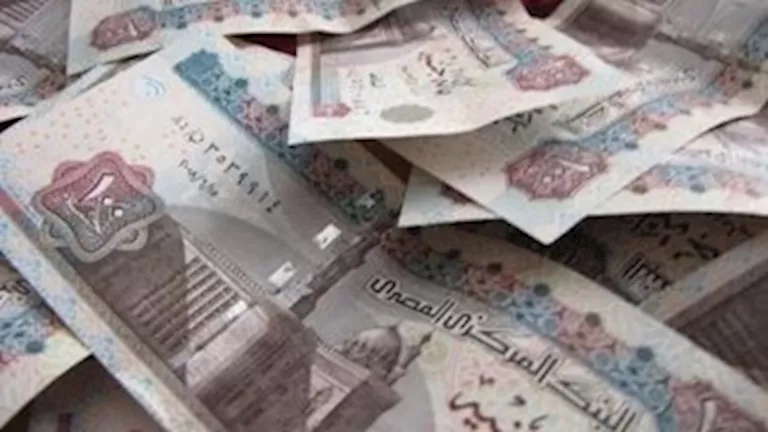 قيمتها 13 مليون جنيه.. الداخلية تطارد تجار “العُملة”