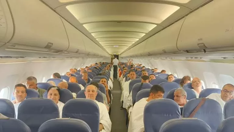 انطلاق أول أفواج البيطريين المصريين للإشراف على أضاحي موسم الحج