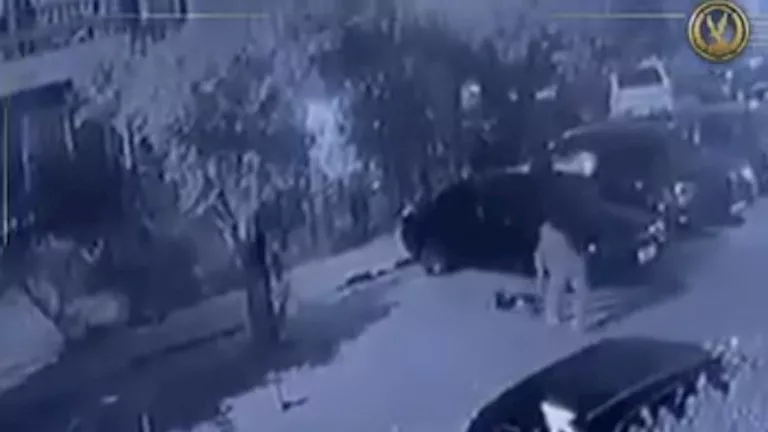 القبض على عامل قتل كلب في القاهرة