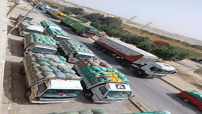 محافظ الإسماعيلية: توريد القمح المحلي يتجاوز المستهدف بنسبة 103.77% لم