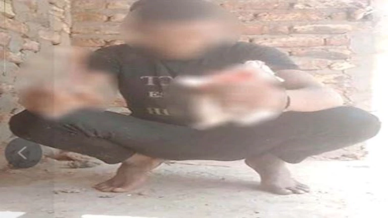 متهم بذبح قطة في إسنا: “عايز أجيب مشاهدات”