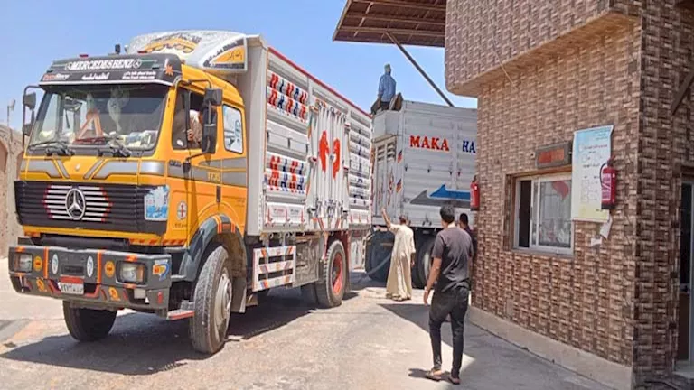 محافظ المنوفية: توريد 100 ألف طن قمح للصوامع منذ بداية الموسم