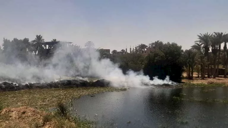 حريق على ضفاف نهر النيل في بني سويف -صور