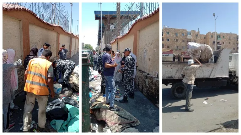 إزالة أوكار للنباشين في الإسماعيلية