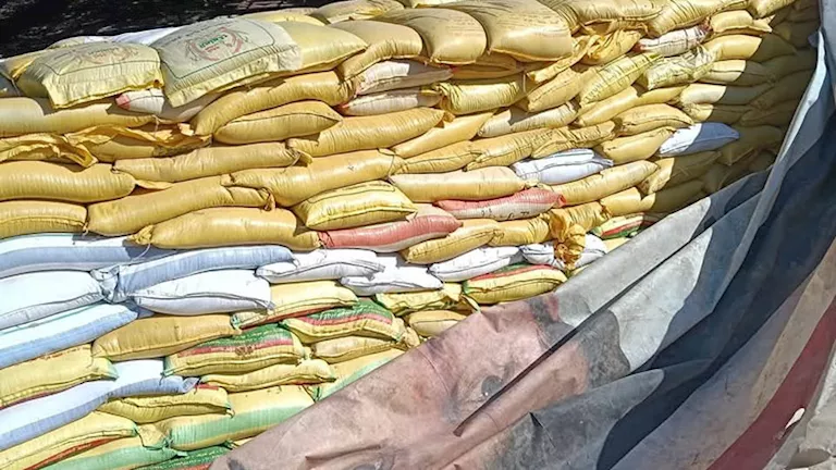 إحباط محاولة توريد 22 طن قمح غير صالح للاستهلاك في بني سويف