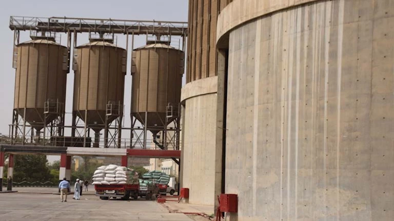 توريد 450 طن قمح إلى صوامع الوادي الجديد