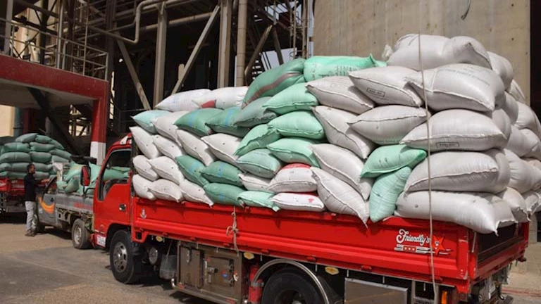 توريد 54 ألف طن قمح للشون والصوامع في بني سويف (صور)