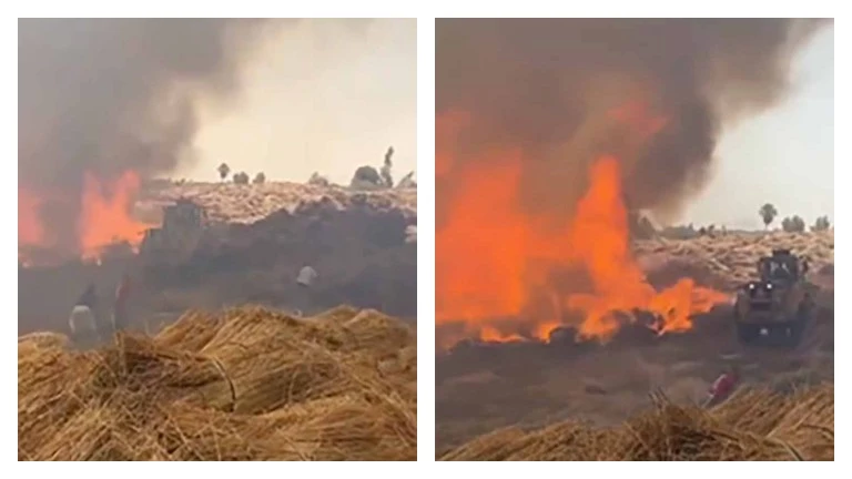 ألسنة لهب ودخان يغطي السماء.. الصور الأولى لحريق شونة كتان بالغربية