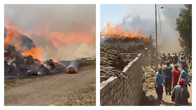 النار التهمت محصول 1000 فدان.. الدفع بـ 22 سيارة للسيطرة على حريق شونة الكتان بالغربية