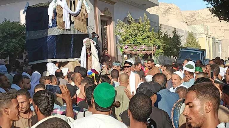 مولد كل يوم جمعة.. 4 أولياء يُجمعون المُريدين بساحة الشيخ عبدالفتاح فى المنيا -صور