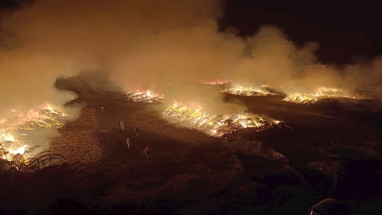 بعد 8 ساعات.. السيطرة على حريق شونة الكتان بشبرا ملس