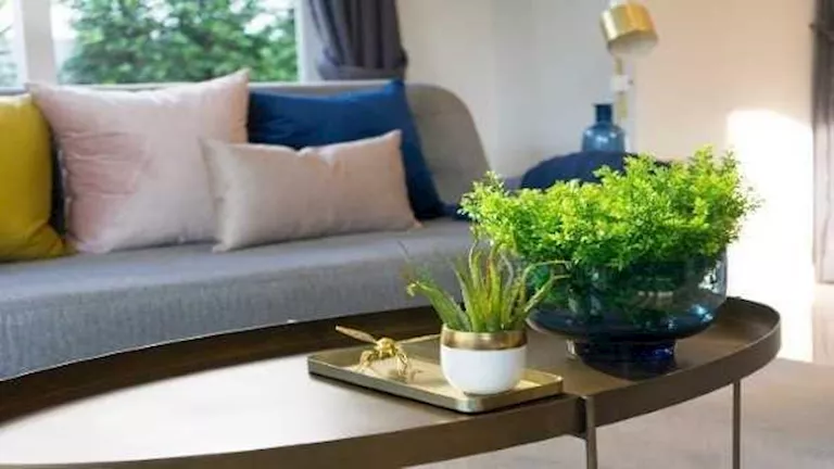 ديكور عملي للمستأجرين.. 8 طرق تمنح منزلك لمسة أنيقة بأقل تكلفة
