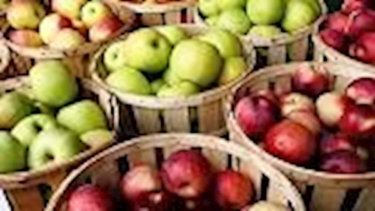 بعد وصوله 70 جنيهًا.. نقيب الفلاحين يكشف موعد انخفاض أسعار التفاح