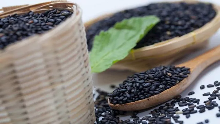 3 حبوب فعّالة في الوقاية من السرطان عند تناولها بانتظام.. منها حبة الب