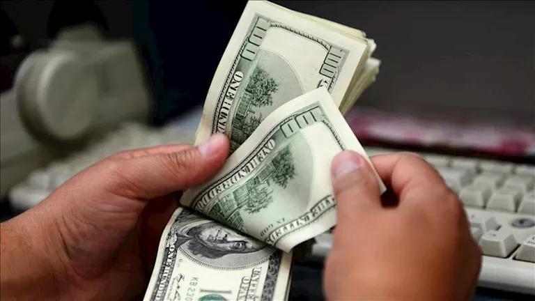 تراجع متوسط نصيب الفرد بمصر من الدين الخارجي بنحو 151 دولارا في عام