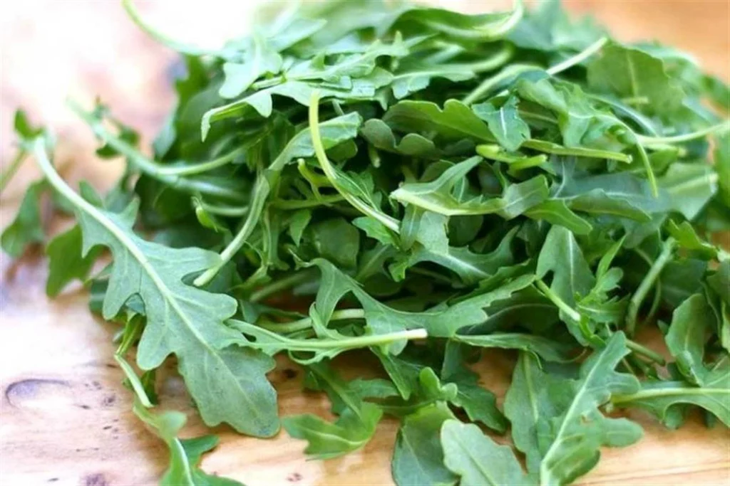 منها صحة الدماغ.. 5 فوائد لتناول هذا النوع من الخضروات على صحة جسمك