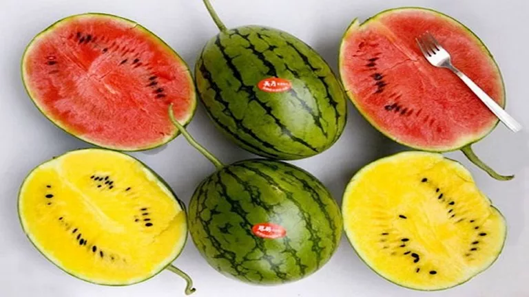 هذا ما يحدث للقولون والكلي عند تناول البطيخ.. مفاجأة صادمة