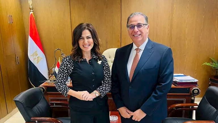 أمين شئون المصريين بالخارج بالجبهة الوطنية: المصري بالخارج شريك في رسم