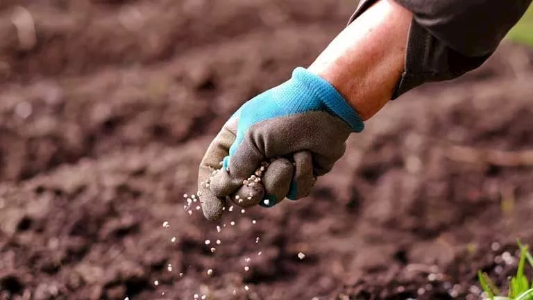 “الخشن” ينفي توقف مصانع الأسمدة المصرية حتى الآن