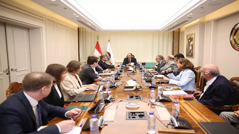 وزير قطاع الأعمال يبحث الشراكة بين “روسال الروسية” ومصر للأمونيوم