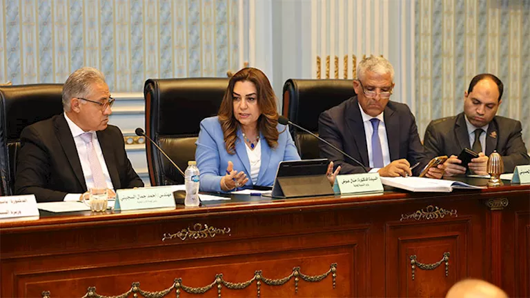 وزيرة التنمية المحلية تستعرض جهود تنفيذ المنظومة المتكاملة لإدارة المخ