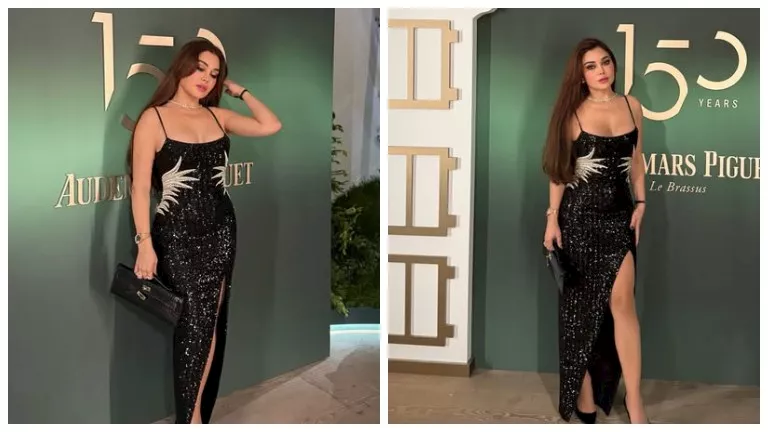 هيفاء وهبي بإطلالة جريئة.. لن تتوقع سعر الفستان